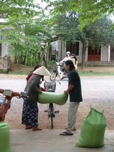 viet20076-3